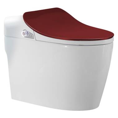 QuantumOne™ 1.0 Elongated Rear-Outlet Wall-Mount Toilet Combination