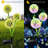 Green Low Voltage Solar Powered Integrated LED Pathway Light Pack