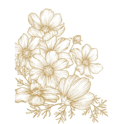 Poppies Linework Gold Wall Mural