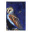 «The Owl and the Gold Leaf Dragonfly», reproduction de peinture à l'huile sur toile tendue-31878597