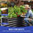Thaliyah Metal Raised Garden Bed