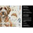 Lagotto Romagnolo Coffee Bar Kitchen Towel-1168063454