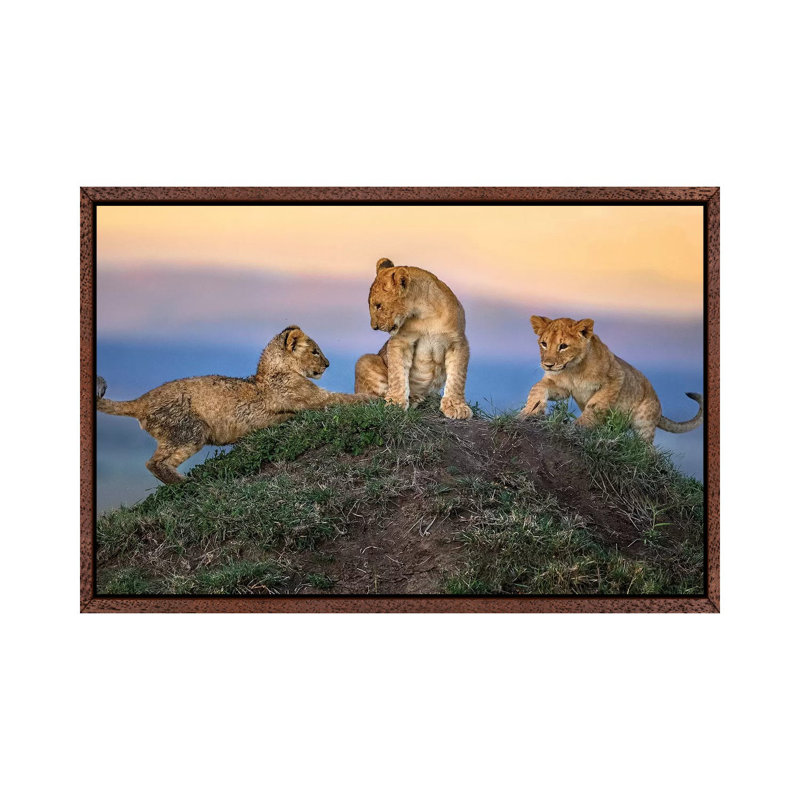 Play Time by Xavier Ortega - Print on Canvas, 45.72cm H x 66.04cm W x 3.81cm D, Classic Brown Wood Framed