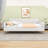 Queen Upholstered Daybed with Support Legs-383548260