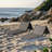 SUNJOY Portable Beach Mat with Adjustable Backrest for Adults (Set of 2) - -112535395