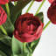 Barreto PEONY TULIP BUNDLE encastré 18 po-129903249