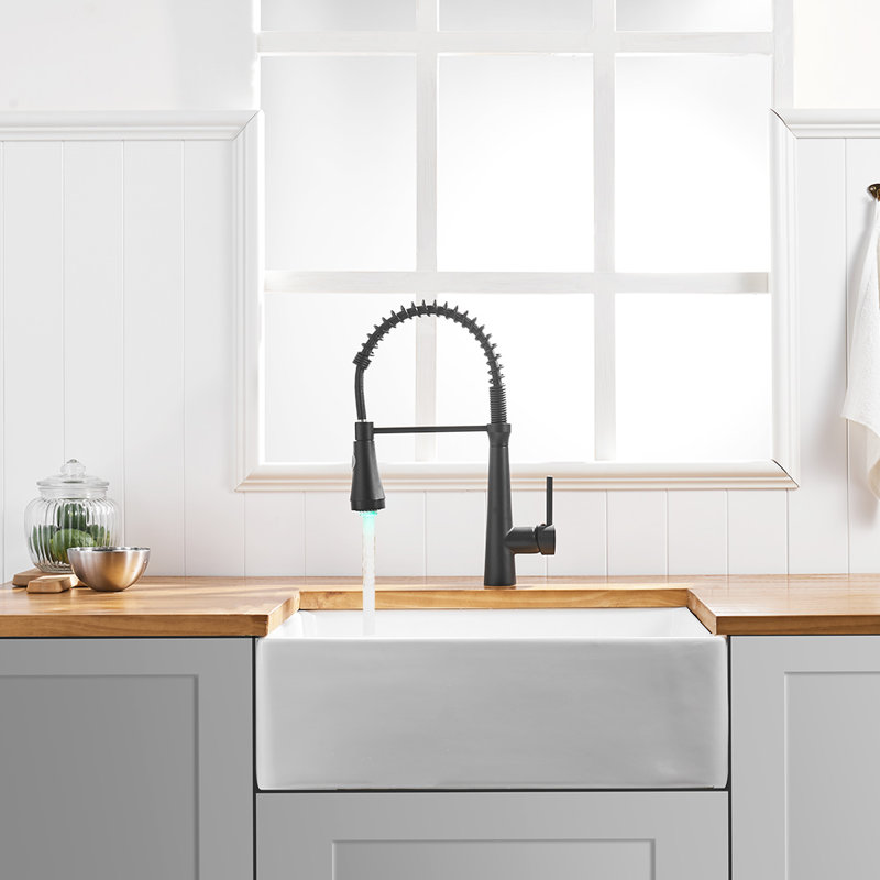 Fapully Pull Down Kitchen Faucet