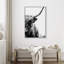 «Animals Black & White Shetland Cow», reproduction d'art sur toile-94585657-94585658