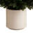 5ft. UV Resistant Artificial Cedar Tree in Decorative White Planter (Indoor/Outdoor)-989391091