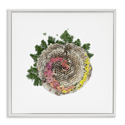 Giclée encadrée Honeycomb with Botanicals, design par Beth Adoette