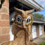 Dunbar Wood Hanging Decorative Bird Feeder