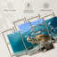 «Curacao Fish and Turtle», reproduction d'art sur toile-912929388