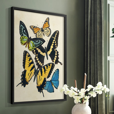 «Collage Butterflies II», reproduction encadrée - bois massif