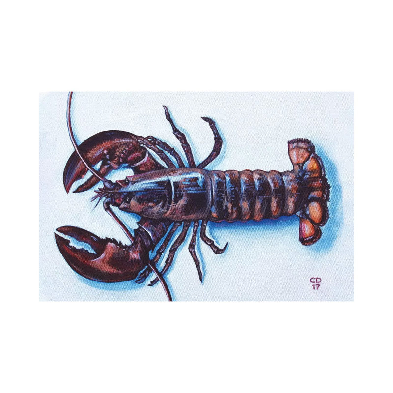Larry The Lobster by Cyndi Dodes - Wrapped Canvas Gallery-Wrapped Canvas Giclée, 66.04 cm H x 45.72 cm W x 3.175 cm D