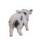 Statue porc pour bébé debout-16443391