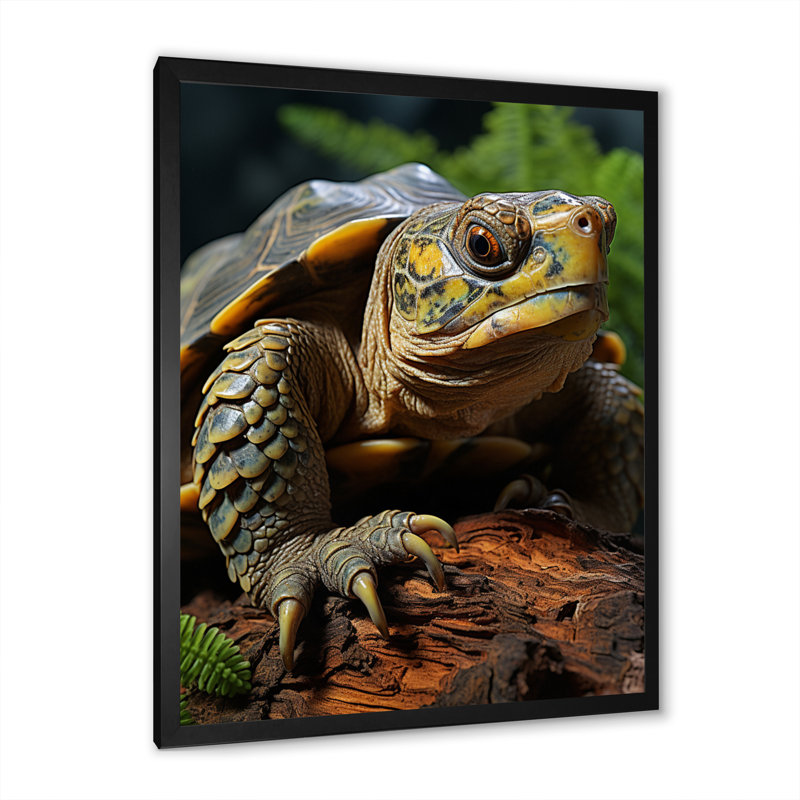 Gros plan sur une tortue vibrante, H 44 po x l 34 po x P 1,5 po, Cadre simple noir