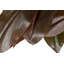 110cm Faux Banana Leaf Plant in Pot