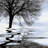 " Imagine " by Ilona Wellmann-346037928