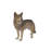 Coyote Standing Statue