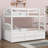 Bunk Bed With Ladder,Trundle And Drawers-1409271096