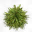 60' H Lighted Artificial Fir Christmas Tree