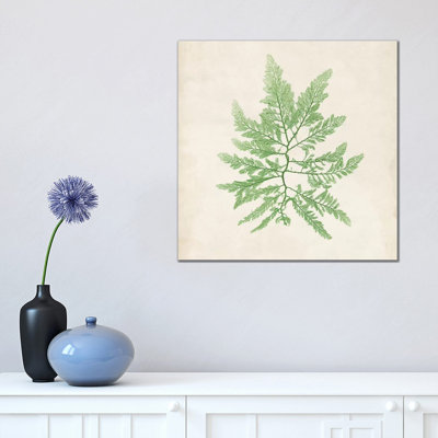 Peridot Seaweed II by Vision Studio - Wrapped Canvas Gallery-Wrapped Canvas Giclée