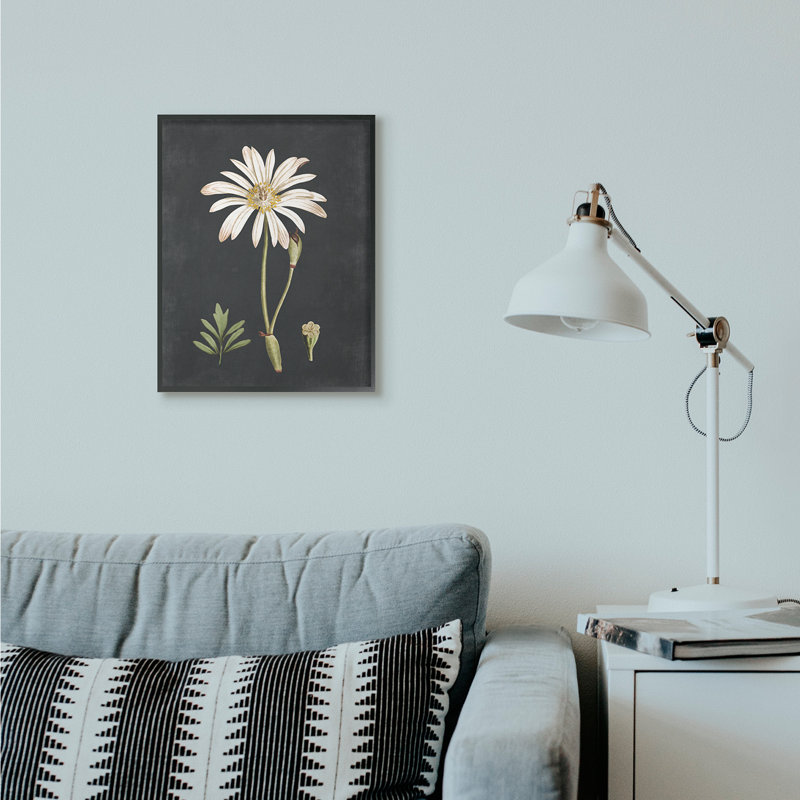 « botanique drawing white on black design », impression, H 20 po x l 16 po, Giclée encadrée noir minuit