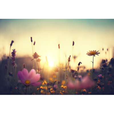 Summer Meadow by Borchee - Wrapped Canvas Print