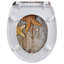 Soft Close Elongated Standard Toilet Seat