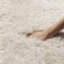 Tapis touffeté à la main Jayne-23745322