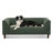 Pet sofa with backrest and armrests
