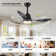 42" Smart Ceiling Fan With Lights Remote