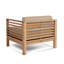 Fauteuil club Amblewood Summer-1109011149-1109011150
