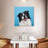 Crowle Happy Border Collie-111901875