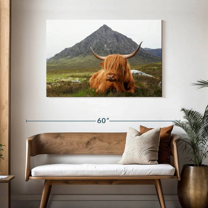 Vache sereine Brampt Highland, H 30 po x l 45 po