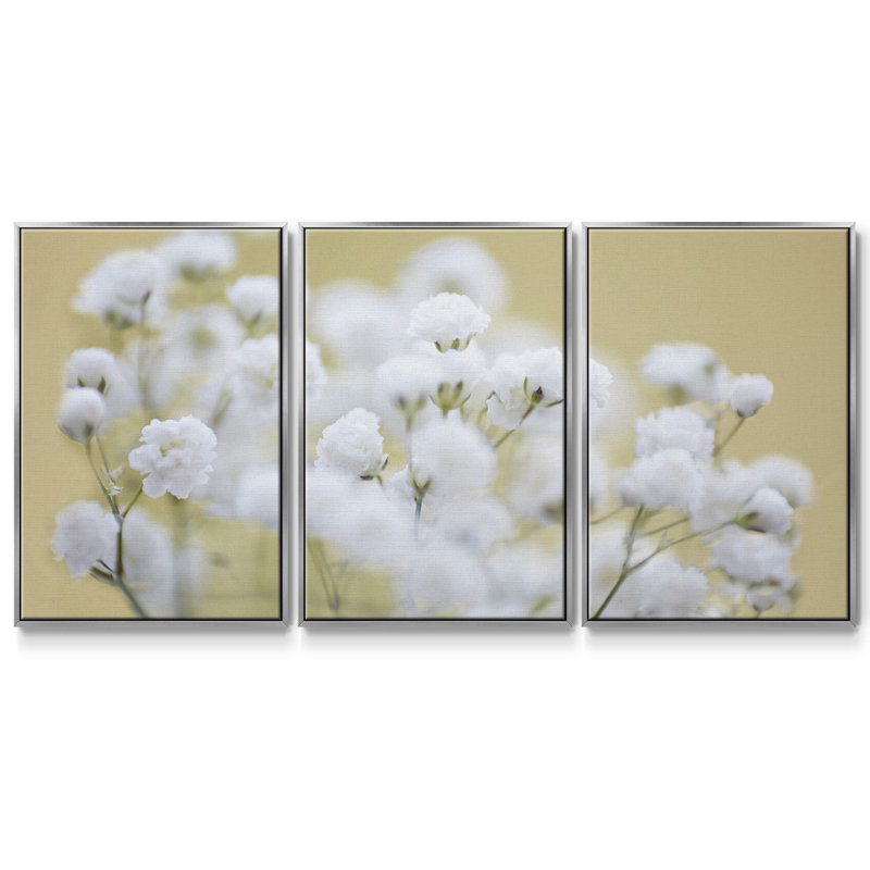 «Baby's Breath Study III», reproduction sur toile 3 pièces, H 24 po x l 48 po x P 2 po, Argent