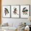 Gould Tropical Birds I - Impression personnalisée de qualité supérieure avec cadre mat - 3 pièces-479936736-479936737