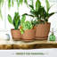 Pots de fleurs d'intérieur avec drainage, ensemble de 5 pots de différentes tailles, en terre cuite-23956494