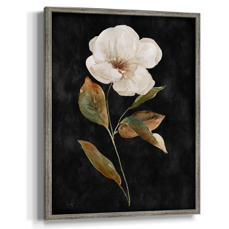 «Botanical on Black Wash I», reproduction encadrée - bois massif 49987, H 30 po x l 24 po