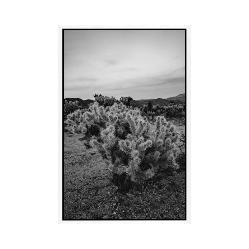 Cholla Cactus Garden IX by Bethany Young - Print on Canvas, 101.6cm H x 66.04cm W x 3.81cm D, White Framed