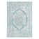 Oriental Indoor / Outdoor Rug