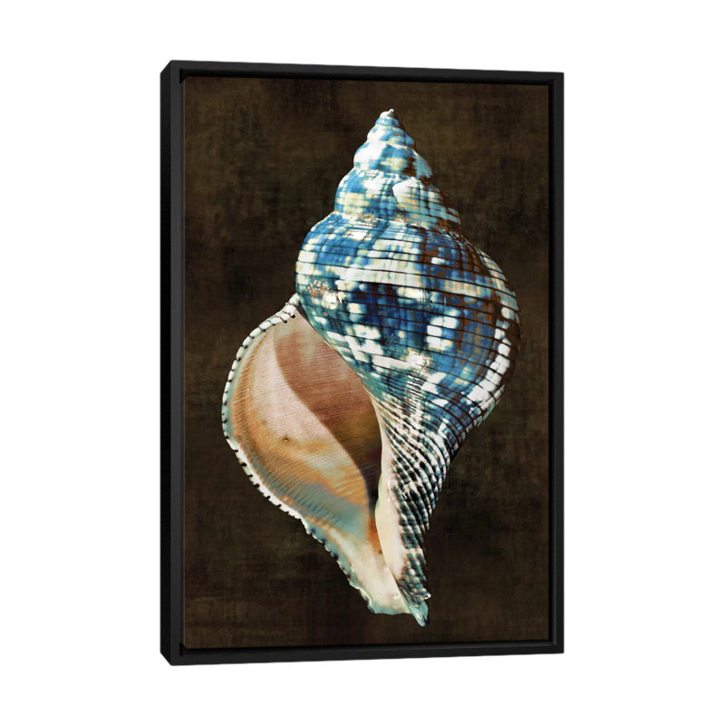 « ocean trésor iii », reproduction d’impression sur toile, H 26 po x l 18 po x P 1,5 po, Toile avec cadre noir, Pas de tapis