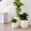 Pot de fleurs Dorlis Fiberstone-865934065-930299750