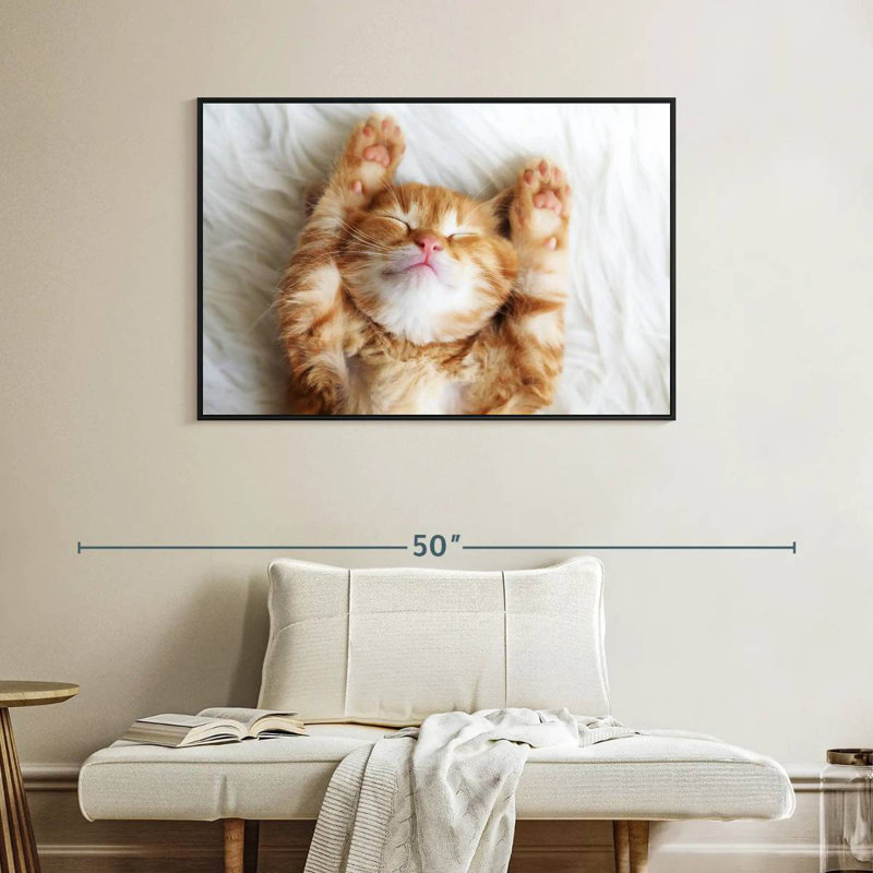 Sleepy Kitty, Cadre flottant noir, 40 po x 27 po