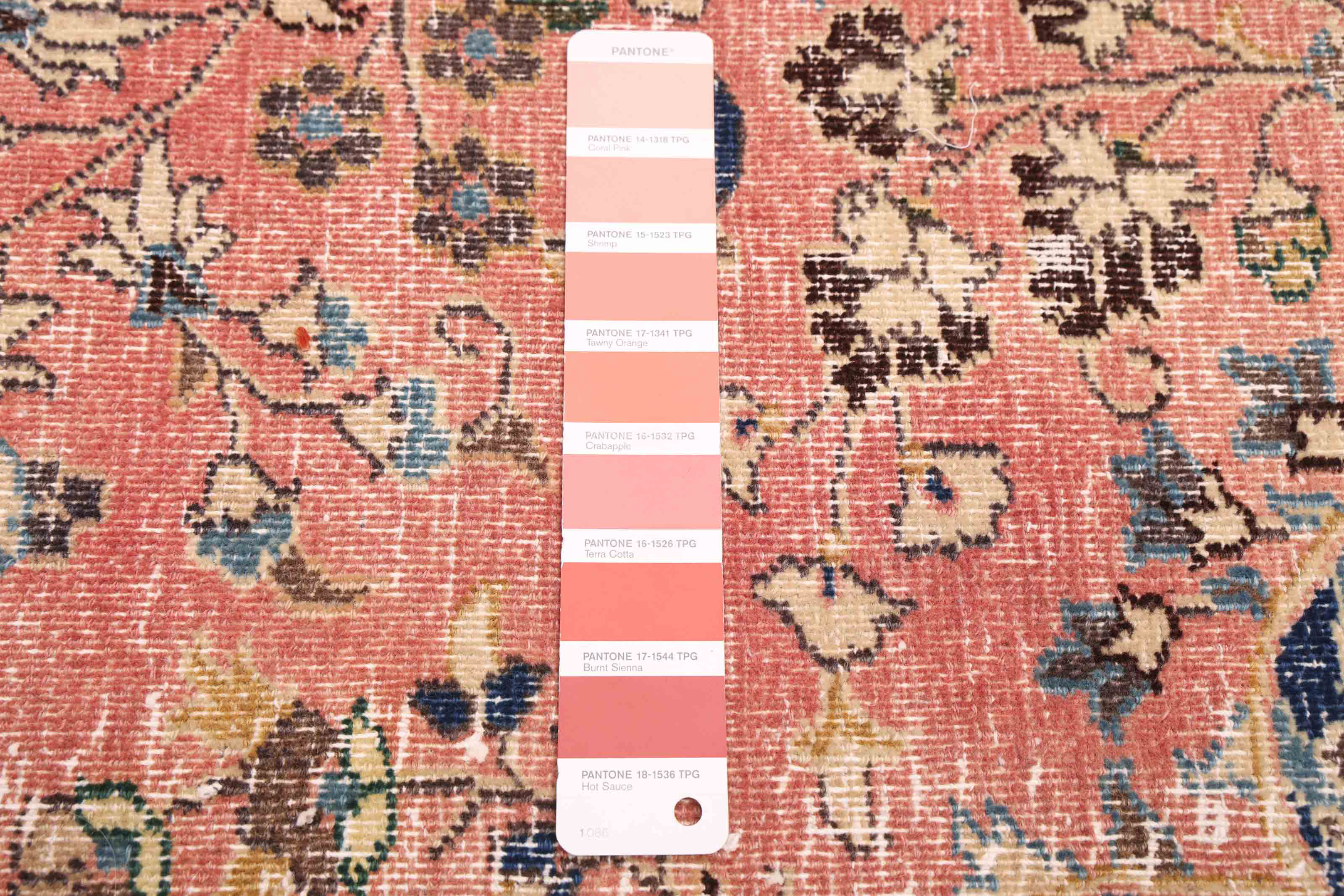 Wildon Home® Antalya Vintage Salmon Rug 8'6