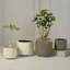 Pot de fleurs en céramique-1262486702-1262486700