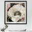 Anemone Study II - reproduction de cadre photo-503309514