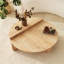 Carolea Coffee Table with Storage