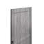 Veneer Barn Door-486909043