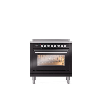 ILVE Professional Plus II 36 in Induction Range